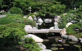 Backyard Design in Mooresville, NC